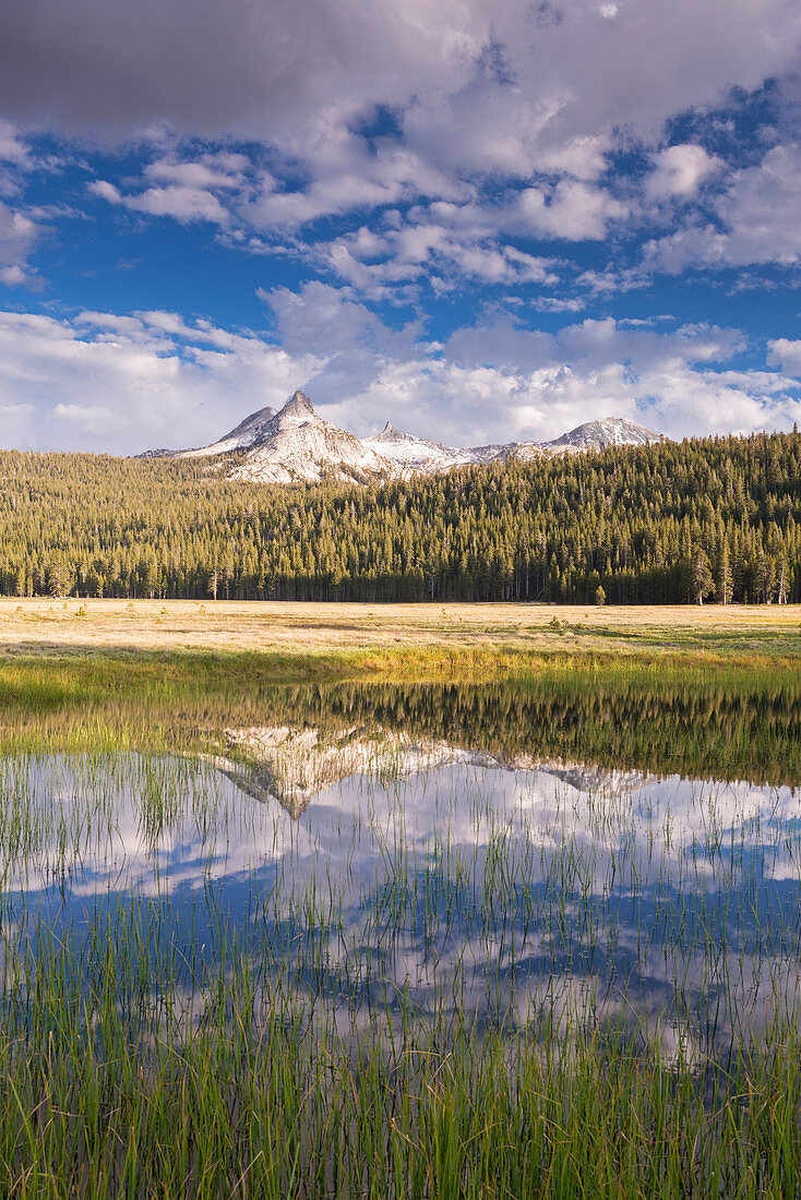Cathedral Peak reflected in seasonal ponds on Tuolumne Meadows, Yosemite National Park, UNESCO World Heritage Site, California, United States of America, North America