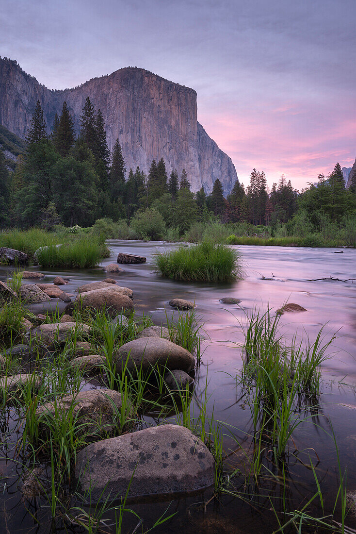 The River Merced and El Capitan at sunset, Yosemite Valley, UNESCO World Heritage Site, California, United States of America, North  America