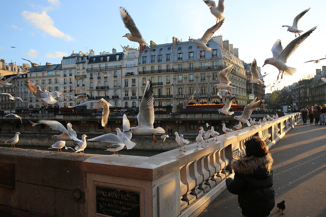 Child feeding gulls on St. Michel's Bridge, Paris, France, Europe