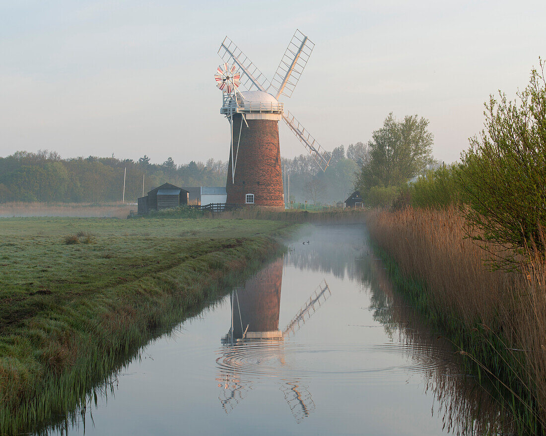 Horsey Mill on a misty morning, Norfolk, England, United Kingdom, Europe