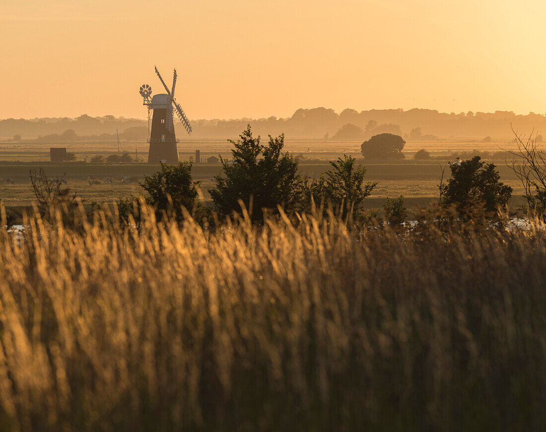 A view across marshland towards Berney Arms Mill, Norfolk, England, United Kingdom, Europe