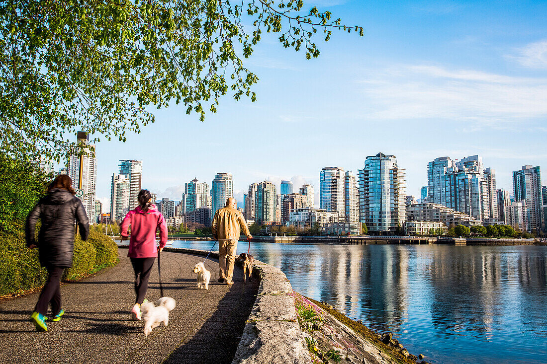 People walking dogs on a waterside trail with Vancouver skyline in the distance.