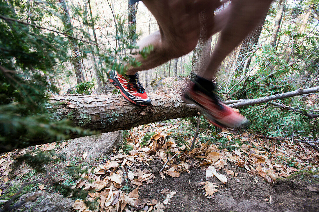 Trail runner moving over a downed tree across a trail.