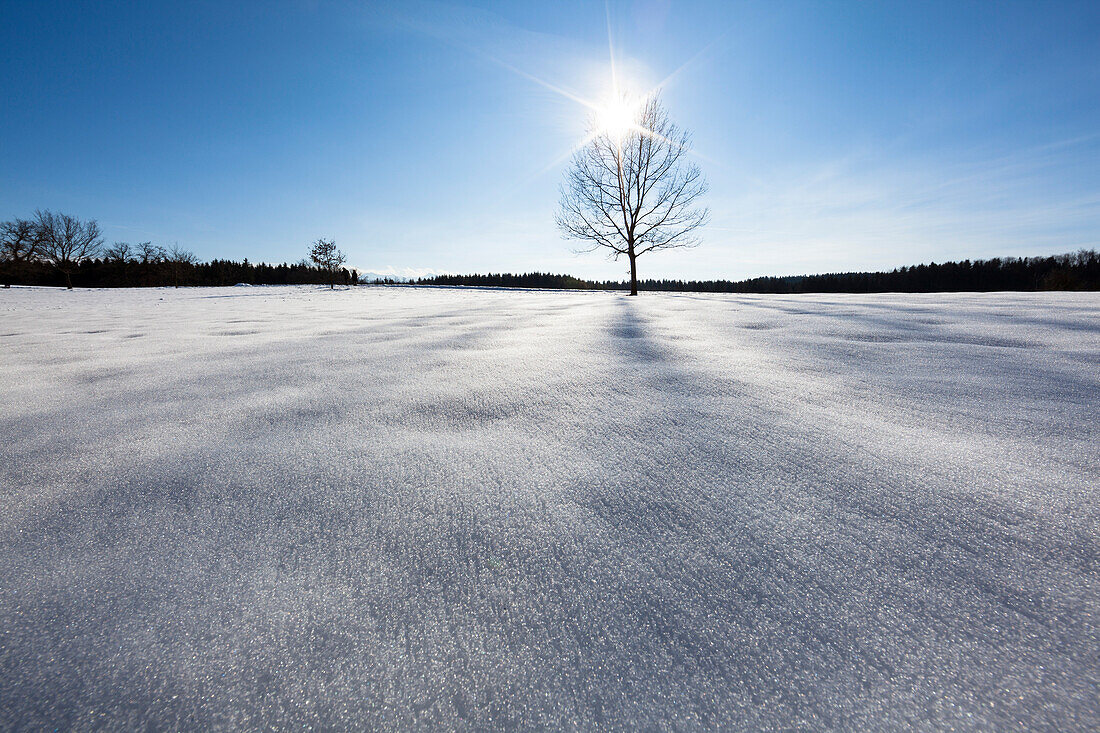 Winterlandschaft bei Penzberg, Oberbayern, Alpen, Deutschland