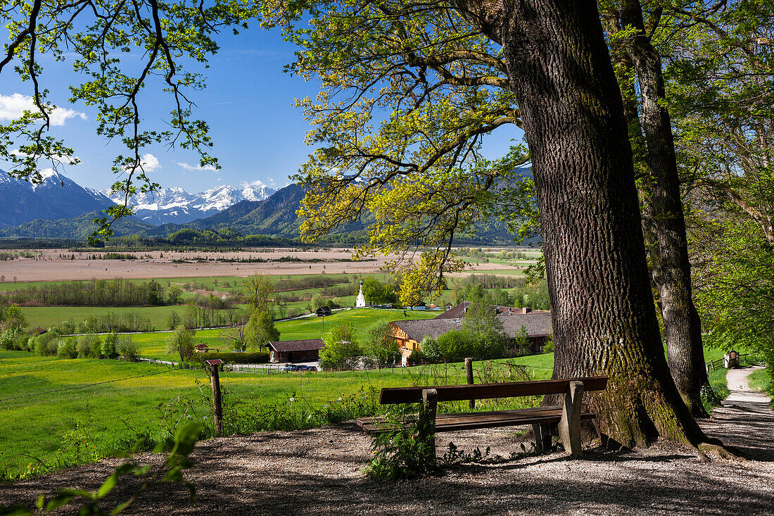 Aussicht vom Ende der Kottmüllerallee auf das Murnauer Moos mit Ramsachkircherl, Alpen, Landkreis Garmisch-Partenkirchen, Oberbayern, Bayern, Deutschland, Europa