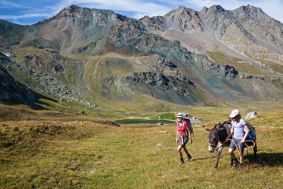 Eselswanderung im Queyras, Alpen, Frankreich, Europa