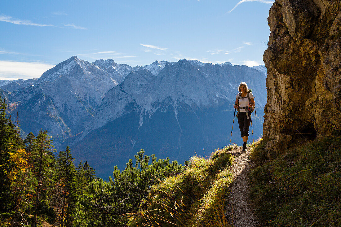 Wandern im Bergwald, Mischwald, Herbst, Blick vom Kramer auf Alpspitze und Wetterstein, Garmisch, Oberbayern, Alpen, Deutschland
