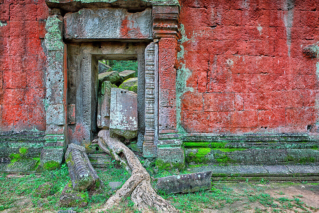 The famous temple of Ta Prohm at Angkor, Cambodia where the roots of the jungle trees intertwine with the masonry of these ancient structures.