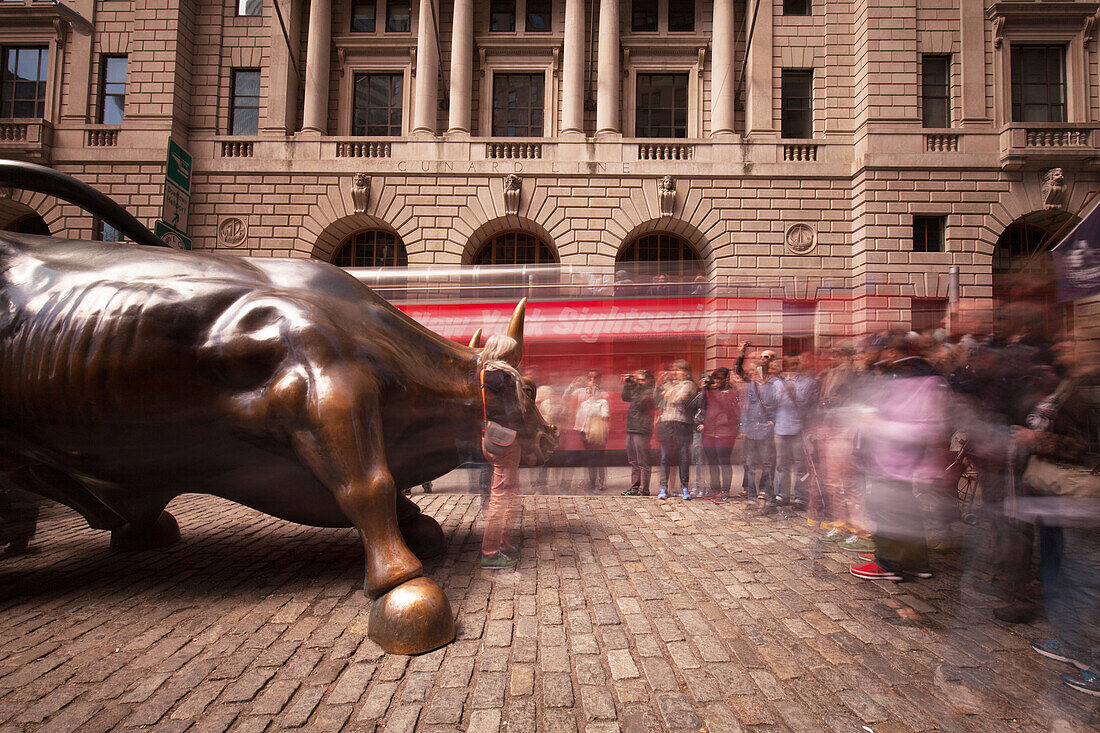Bull near new York Stock Exchange, financial district, Downtown, Manhattan, New York, USA