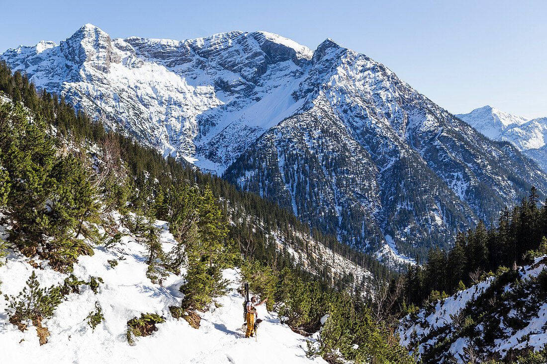 Backcountry skier with his dog in the Ammergauer Alps, overlooking the Geierkoepfe peaks, Tirol, Austria.