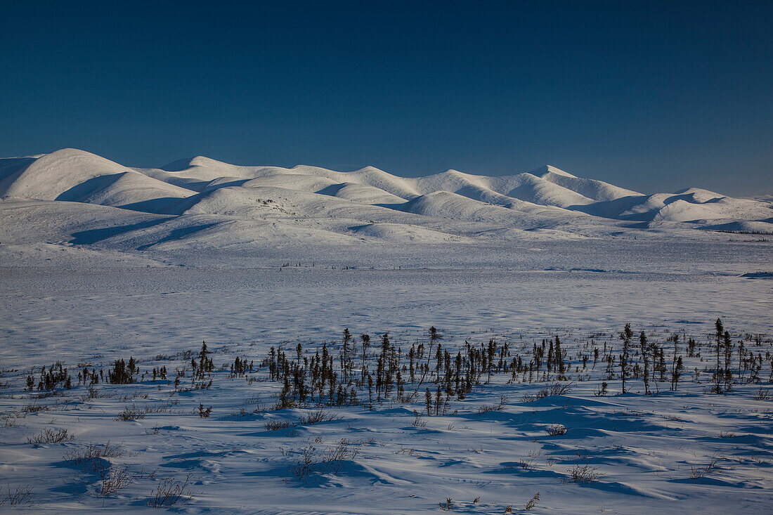 Richardson Mountains, am Dempster Highway, Yukon, Yukon-Territorium, Kanada
