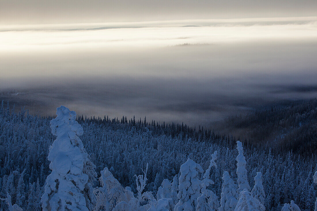 schneebedeckte Landschaft mit Morgennebel am Dalton Highway, Yukon-Koyukuk Census Area, Alaska, USA