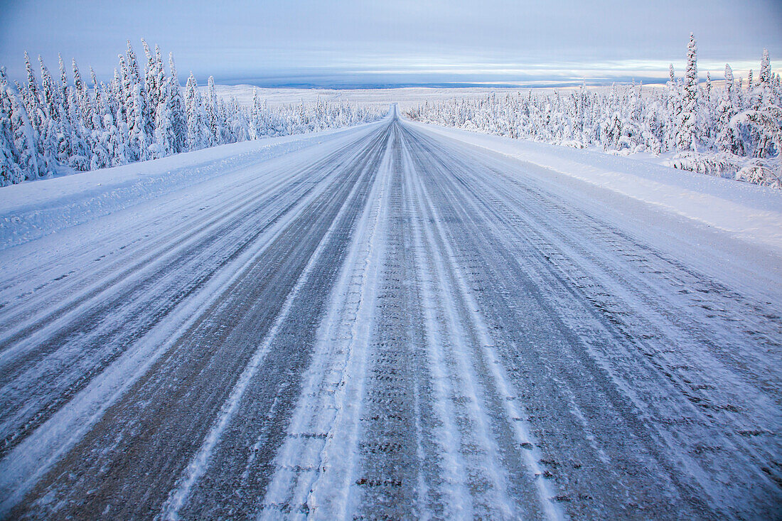 Schneebedeckte Bäume am Dalton Highway, Yukon-Koyukuk Census Area, Alaska, USA