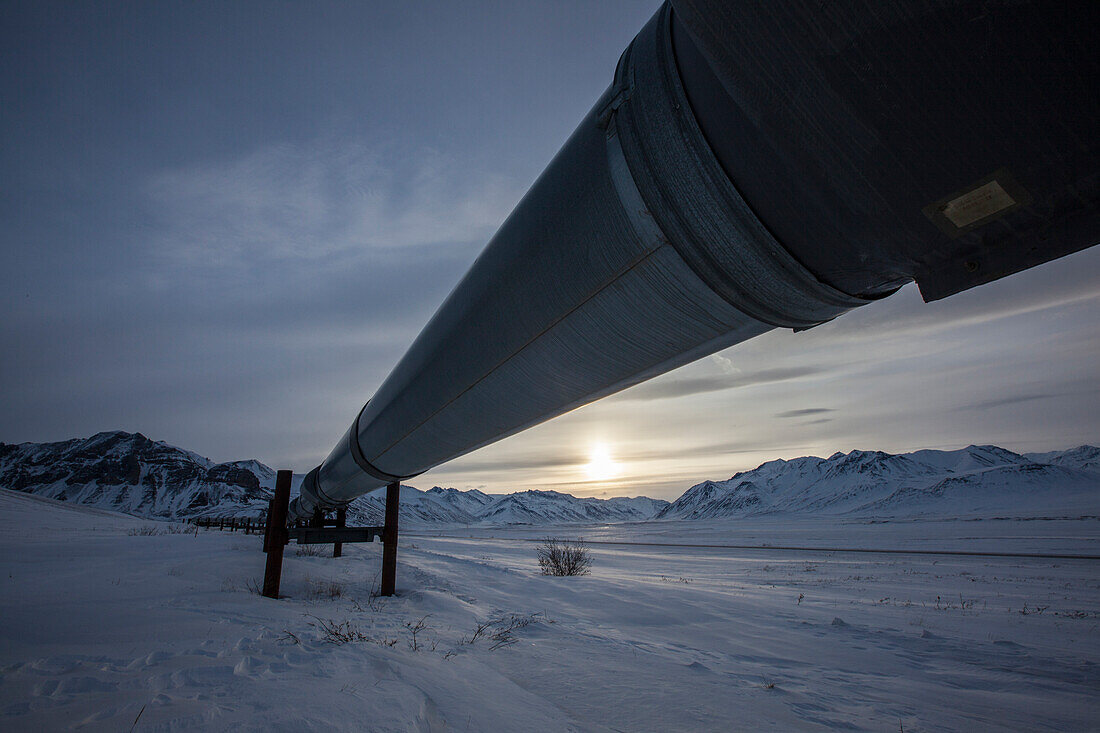 The Trans Alaska oil pipeline, sunset in wintertime at Brooks Range, North Slope Borough, Alaska, USA