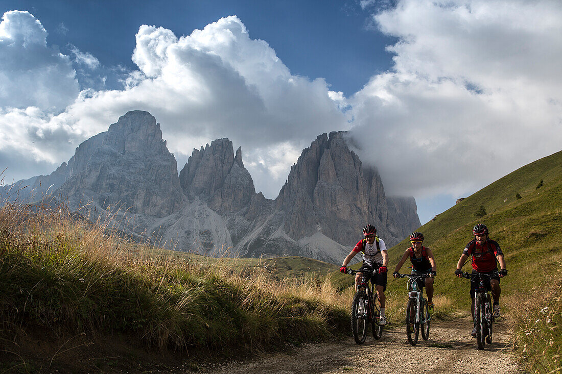 Mountainbiker am Col Rodella, dahinter Langkofel, Trentino-Südtirol, Italien