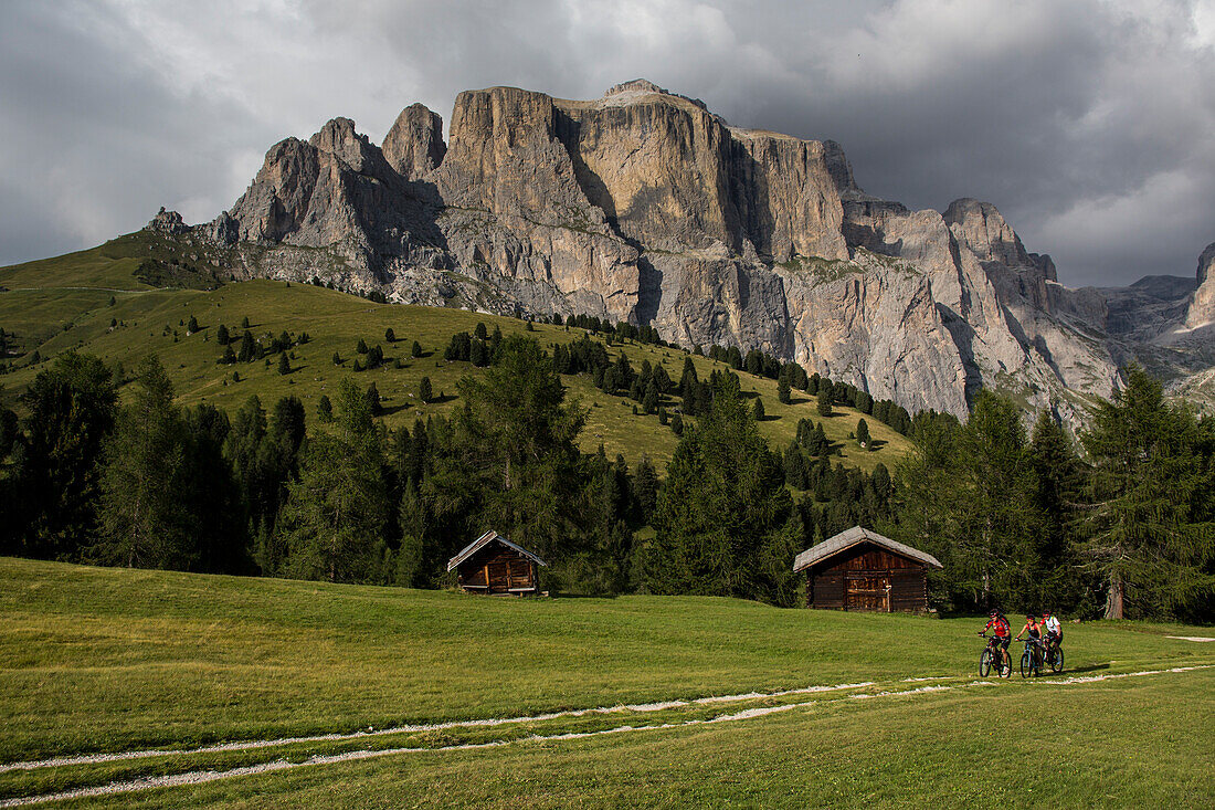 Mountain biker at Col Rodella, Sella group inthe background, Trentino, South Tyrol, Italy