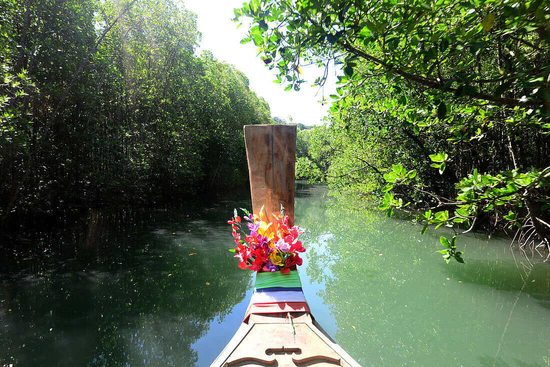 In the Mangroves on the island of Tarutao, Andaman Sea, South-Thailand, Thailand, Asia