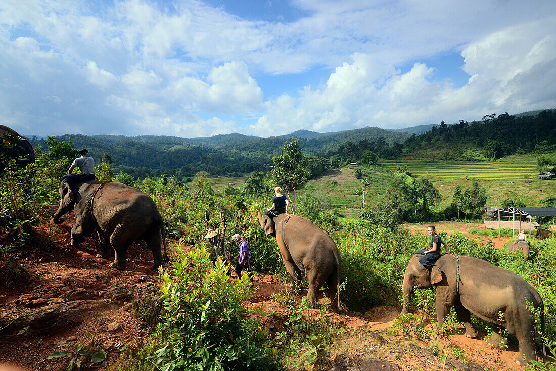 Elephant Camp of Bodo Förster near Chiang Mai, North-Thailand, Thailand, Asia