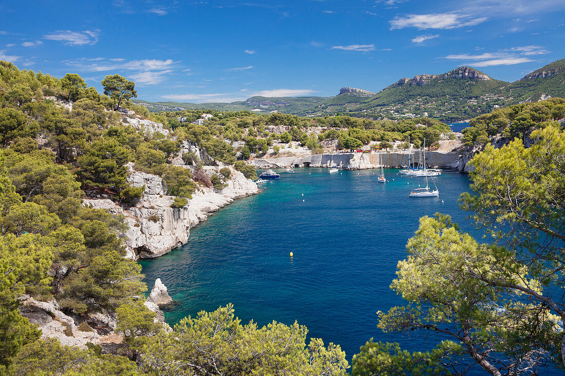 Les Calanques de Port-Miou, National Park Calanque de Port-Pin, Cassis, Provence, Provence-Alpes-Cote d'Azur, Southern France, France, Mediterranean, Europe