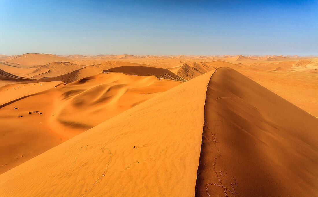 Sand dunes shaped by wind, Deadvlei, Sossusvlei, Namib Desert, Namib Naukluft National Park, Namibia, Africa