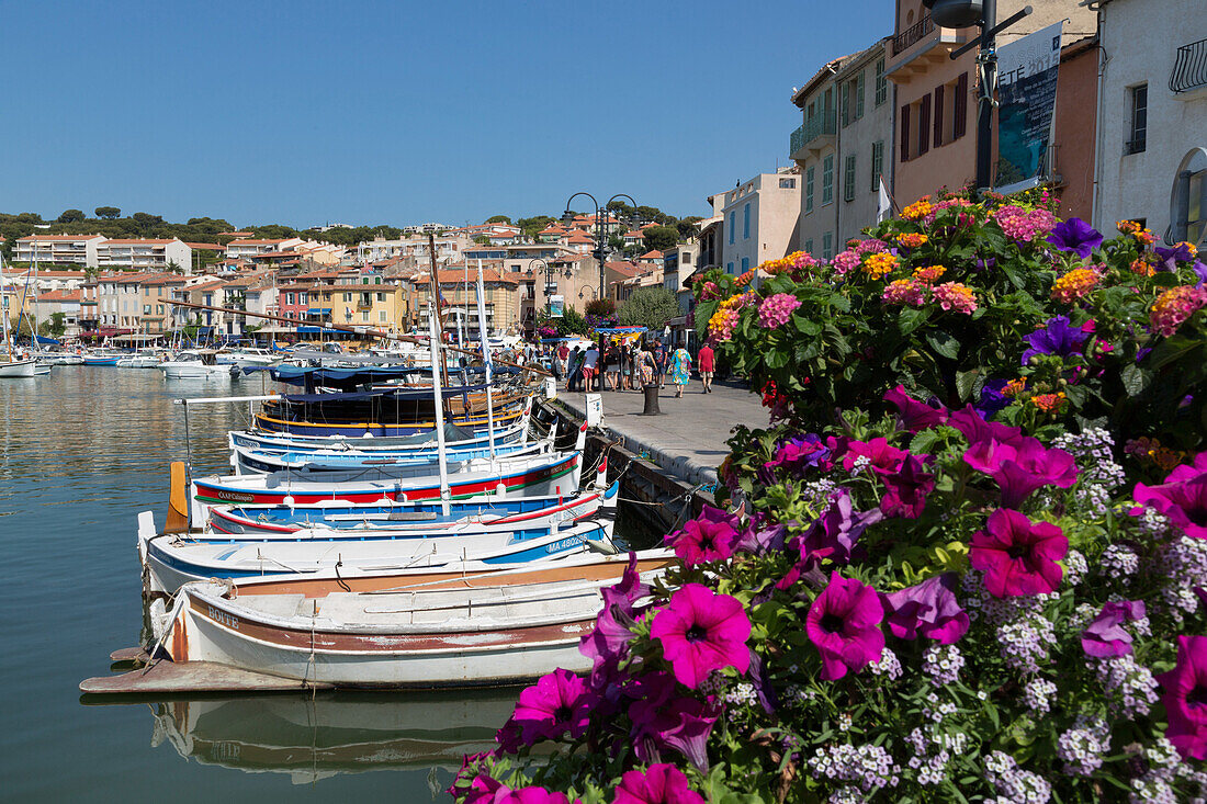 Traditional fishing boats moored in the harbour of the historic town of Cassis, Cote d'Azur, Provence, France, Mediterranean, Europe