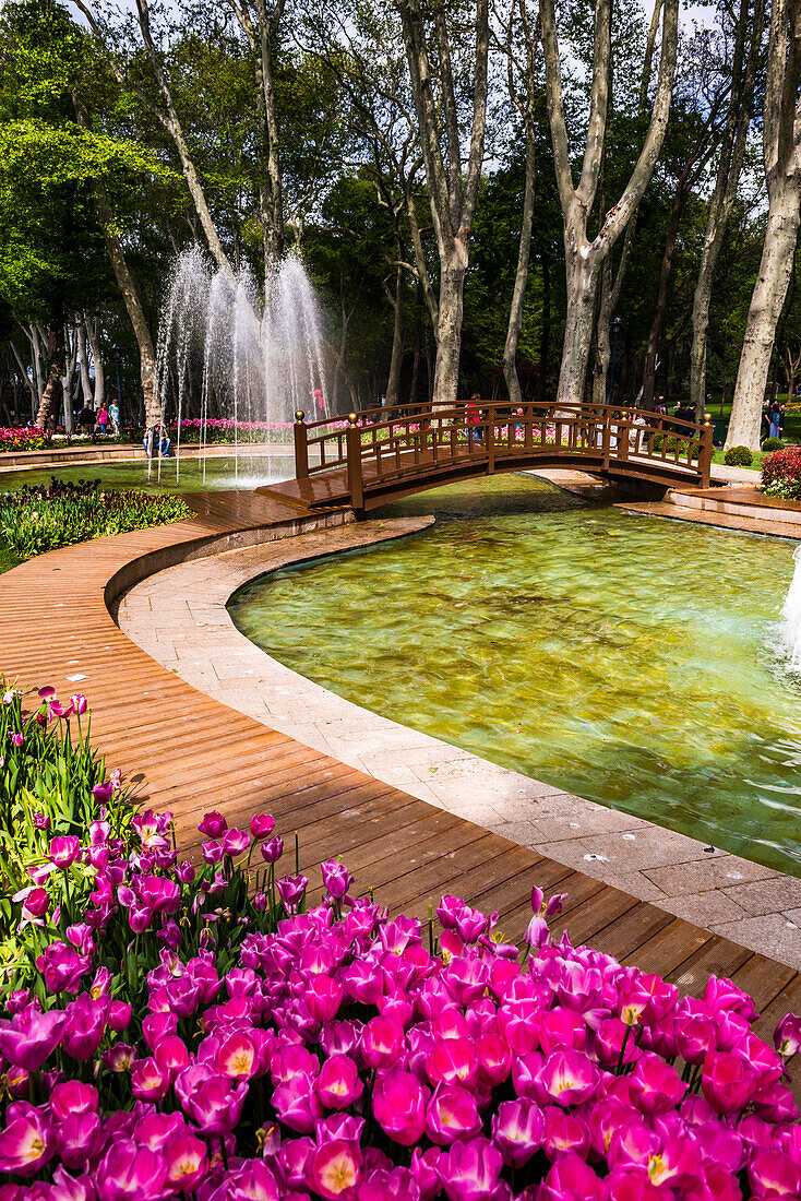 Tulips and fountains in Gulhane Park Rosehouse Park, Istanbul, Turkey, Europe