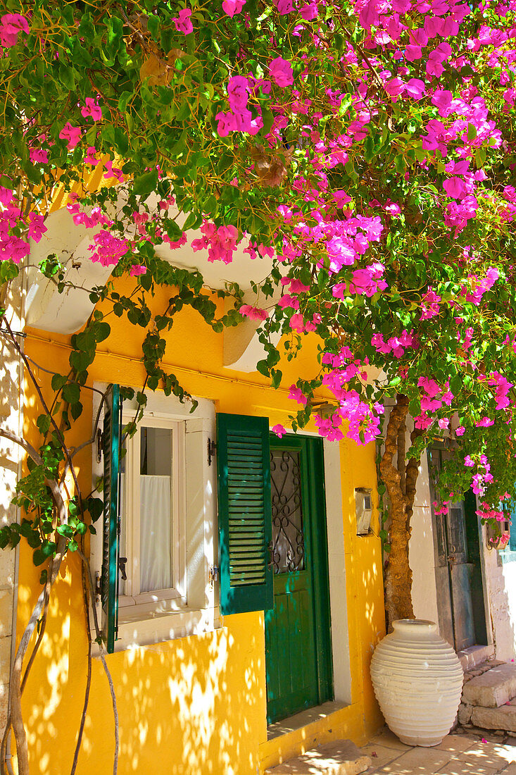 House covered In Bougainvillea, Paxos, The Ionian Islands, Greek Islands, Greece, Europe