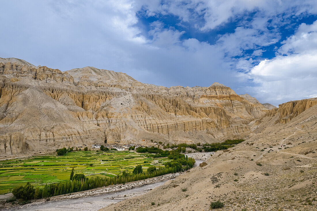 Dhigaon, tibetische Ortschaft mit buddhistischem Kloster im Kali Gandaki Tal, dem tiefsten Tal der Welt, fruchtbare Felder gibt es in der Hochwueste nur durch ein ausgekluegeltes Bewaesserungssystem, Mustang, Nepal, Himalaya, Asien