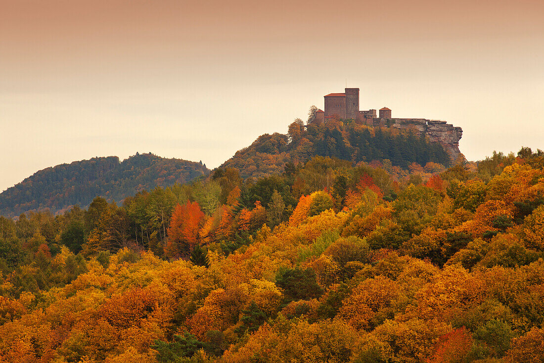 Burg Trifels, bei Annweiler, Naturpark Pfaelzer Wald, Rheinland-Pfalz, Deutschland