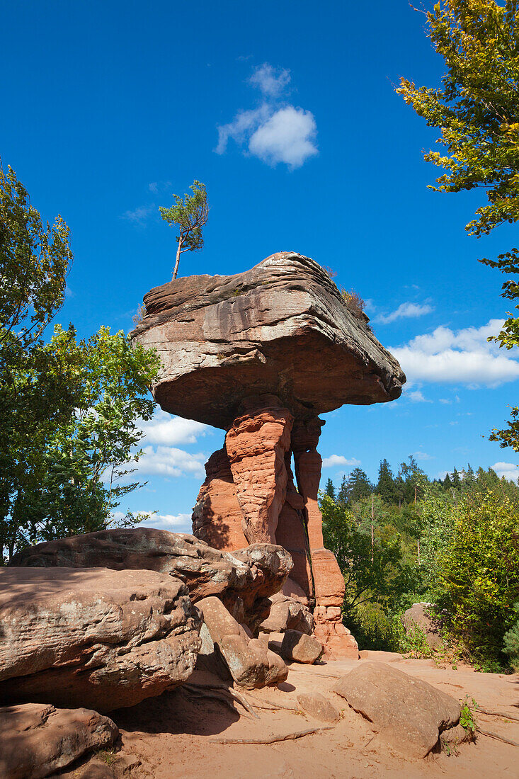 Teufelstisch, Devil´s Table, near Hinterweidenthal, Palatinate Forest nature park, Rhineland-Palatinate, Germany