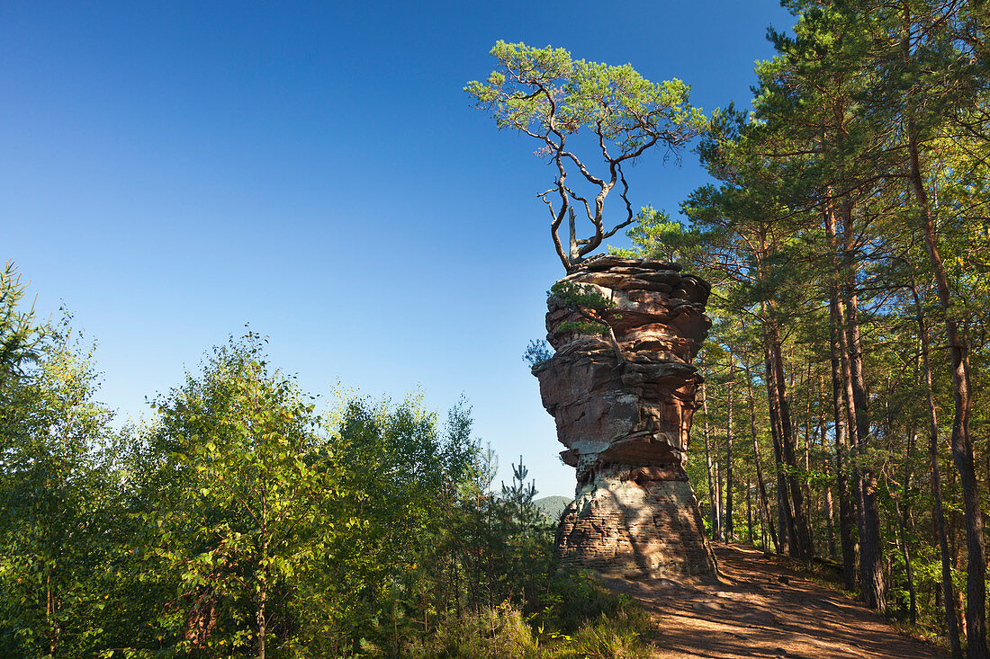 Laemmerfels rock, near Dahn, Dahner Felsenland, Palatinate Forest nature park, Rhineland-Palatinate, Germany