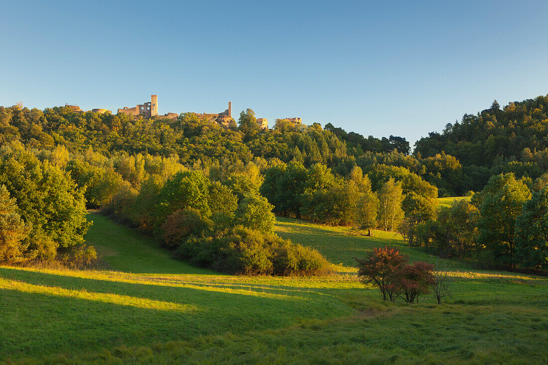 Burgengruppe Dahner Burgen, Dahner Felsenland, bei Dahn, Naturpark Pfaelzer Wald, Rheinland-Pfalz, Deutschland