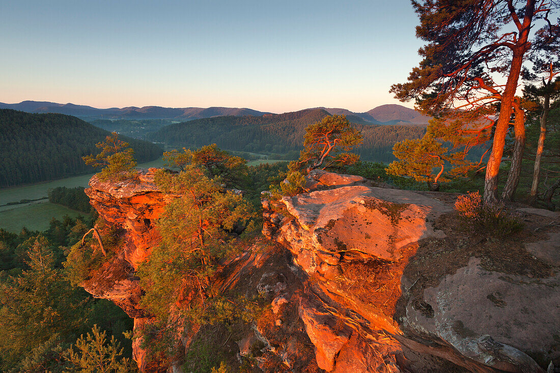 Sprinzelfels rock, near Busenberg, Dahner Felsenland, Palatinate Forest nature park, Rhineland-Palatinate, Germany