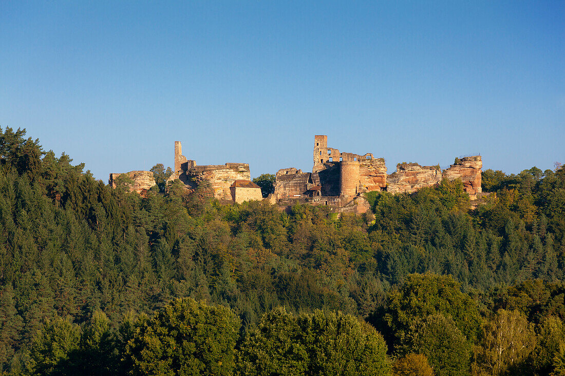 Castle group Dahner Burgen, near Dahn, Dahner Felsenland, Palatinate Forest nature park, Rhineland-Palatinate, Germany