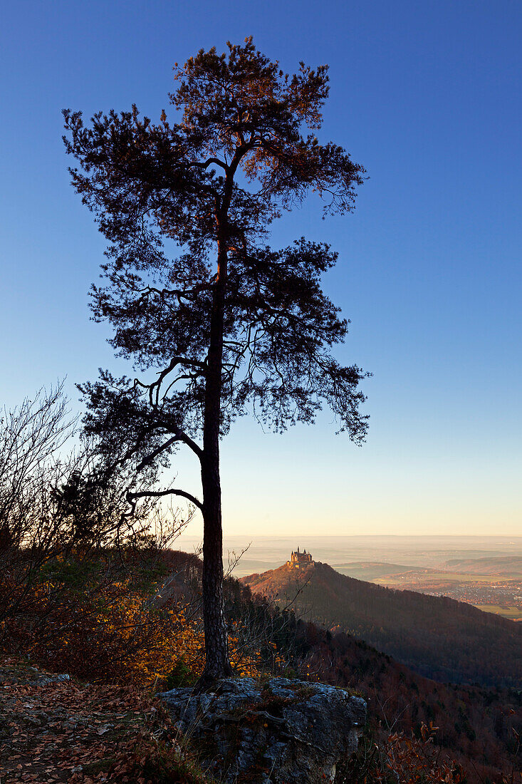 View to Hohenzollern castle, near Hechingen, Swabian Alb, Baden-Wuerttemberg, Germany