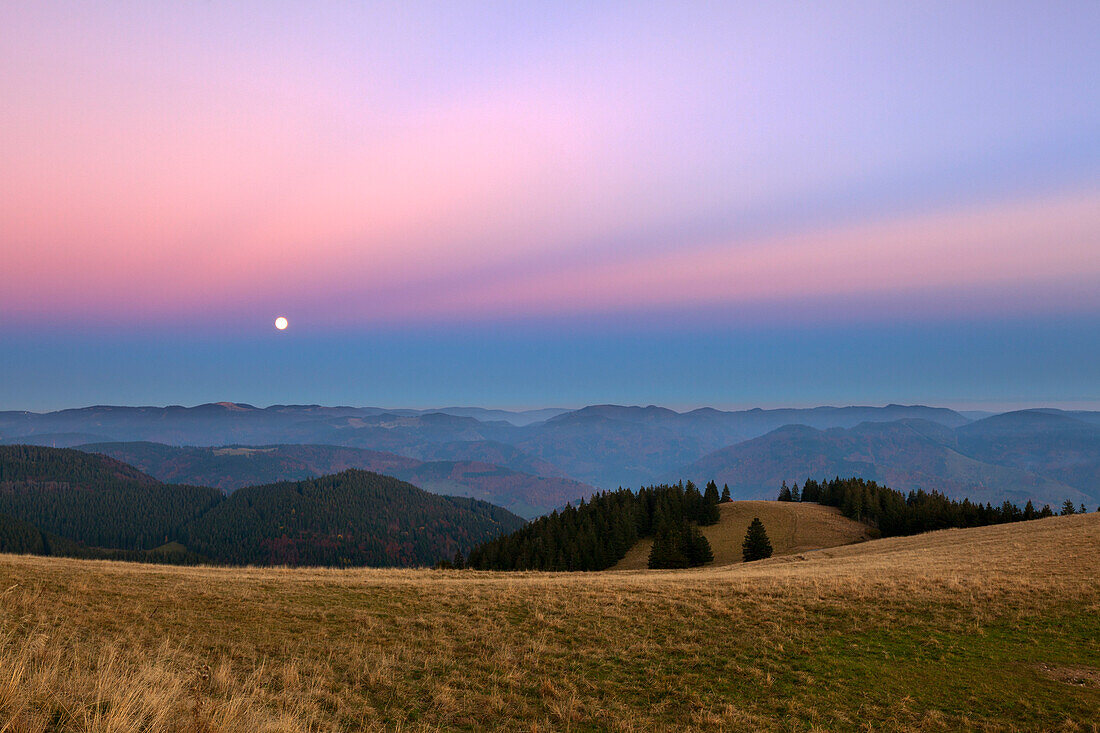 Evening mood with full moon at Belchen, Black Forest, Baden-Wuerttemberg, Germany