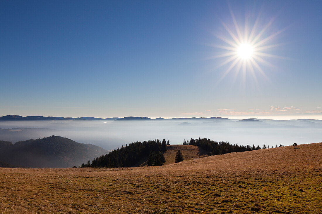 View from Belchen, Black Forest, Baden-Wuerttemberg, Germany
