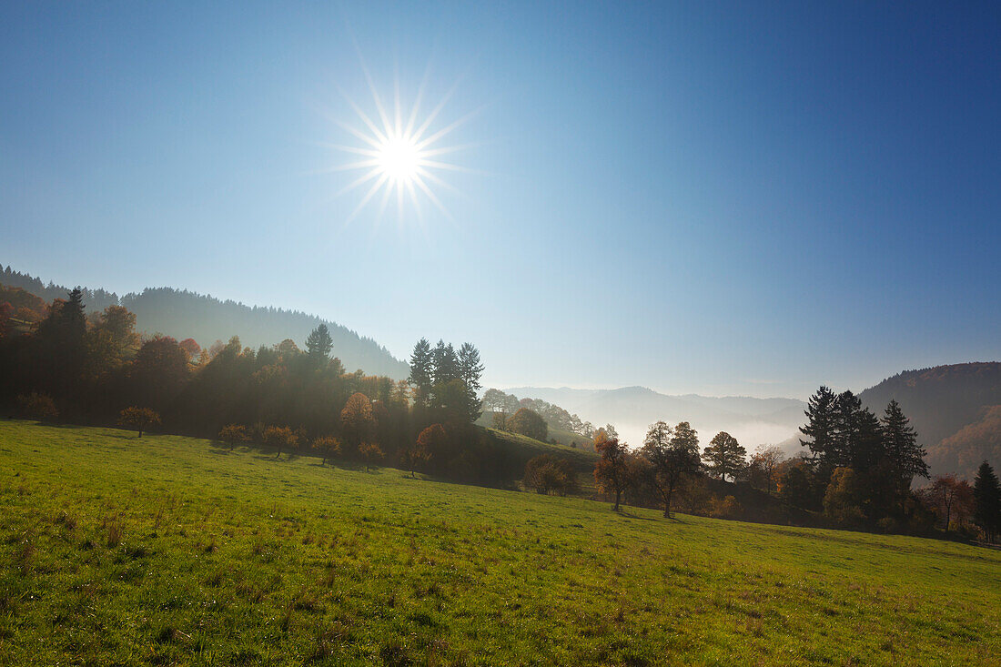 Muenstertal, Suedlicher Schwarzwald, Baden-Wuerttemberg, Deutschland