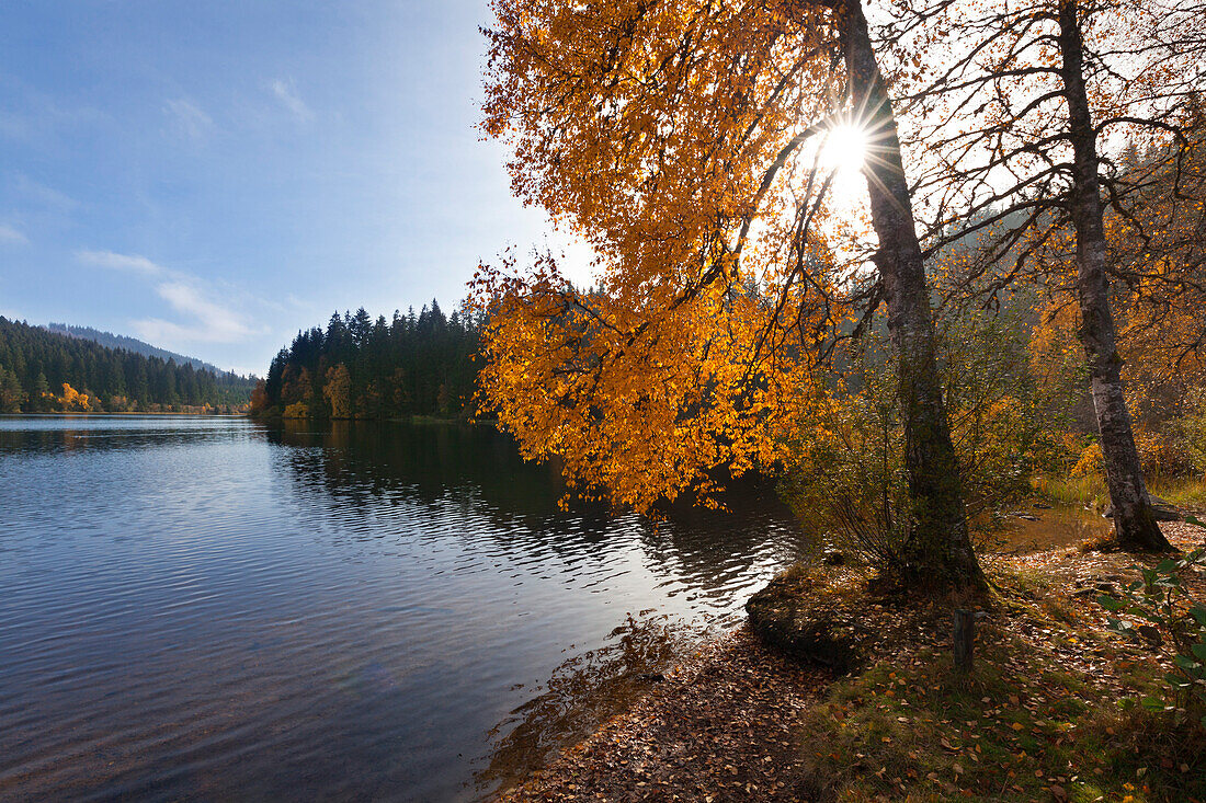 Windgfaellweiher, near lake Schluchsee, Black Forest, Baden-Wuerttemberg, Germany
