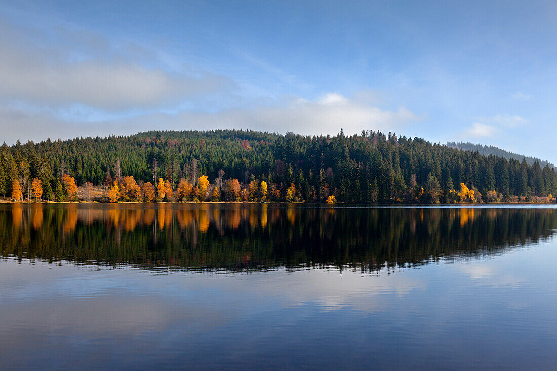 Windgfaellweiher, near lake Schluchsee, Black Forest, Baden-Wuerttemberg, Germany