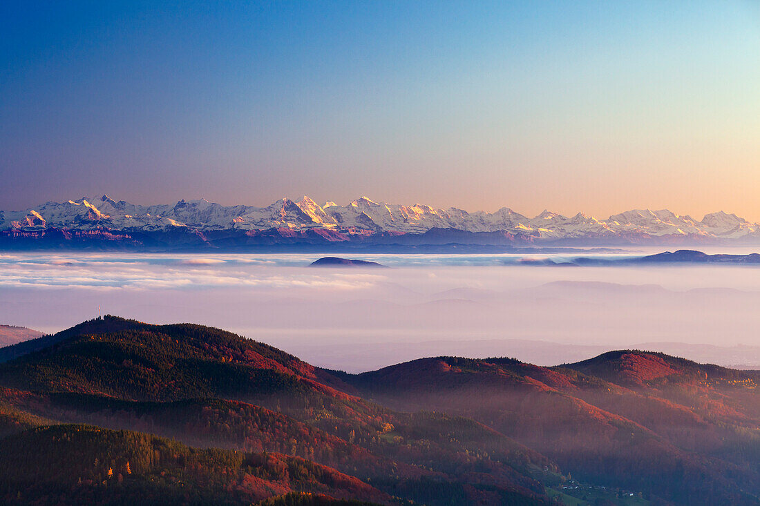 View from Belchen over the fog towards the Alps with Eiger, Moench and Jungfrau, Black Forest, Baden-Wuerttemberg, Germany