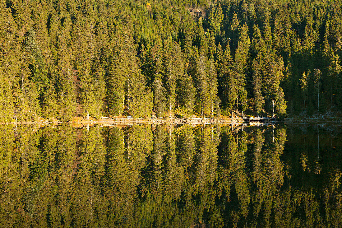 lake Mummelsee, Black Forest, Baden-Wuerttemberg, Germany