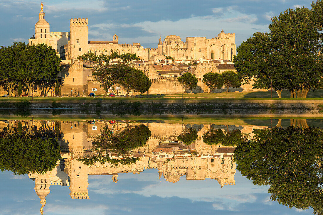 Palais des Papes, UNESCO World Heritage Site, reflected in the River Rhone, Avignon, Vaucluse, Provence, France, Europe