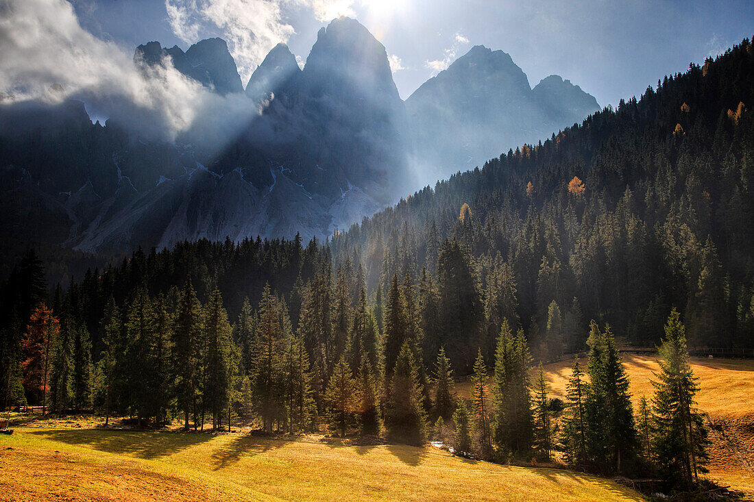 Green meadows and colorful woods in autumn frame the Odle, Malga Zannes, Funes Valley, South Tyrol, Dolomites, Italy, Europe