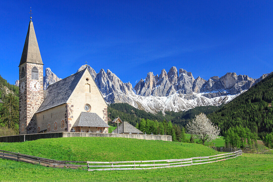 The Church of Ranui and the Odle group in the background, St. Magdalena, Funes Valley, Dolomites, South Tyrol, Italy, Europe