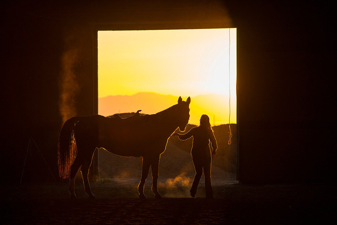 Caucasian woman riding horse in barn