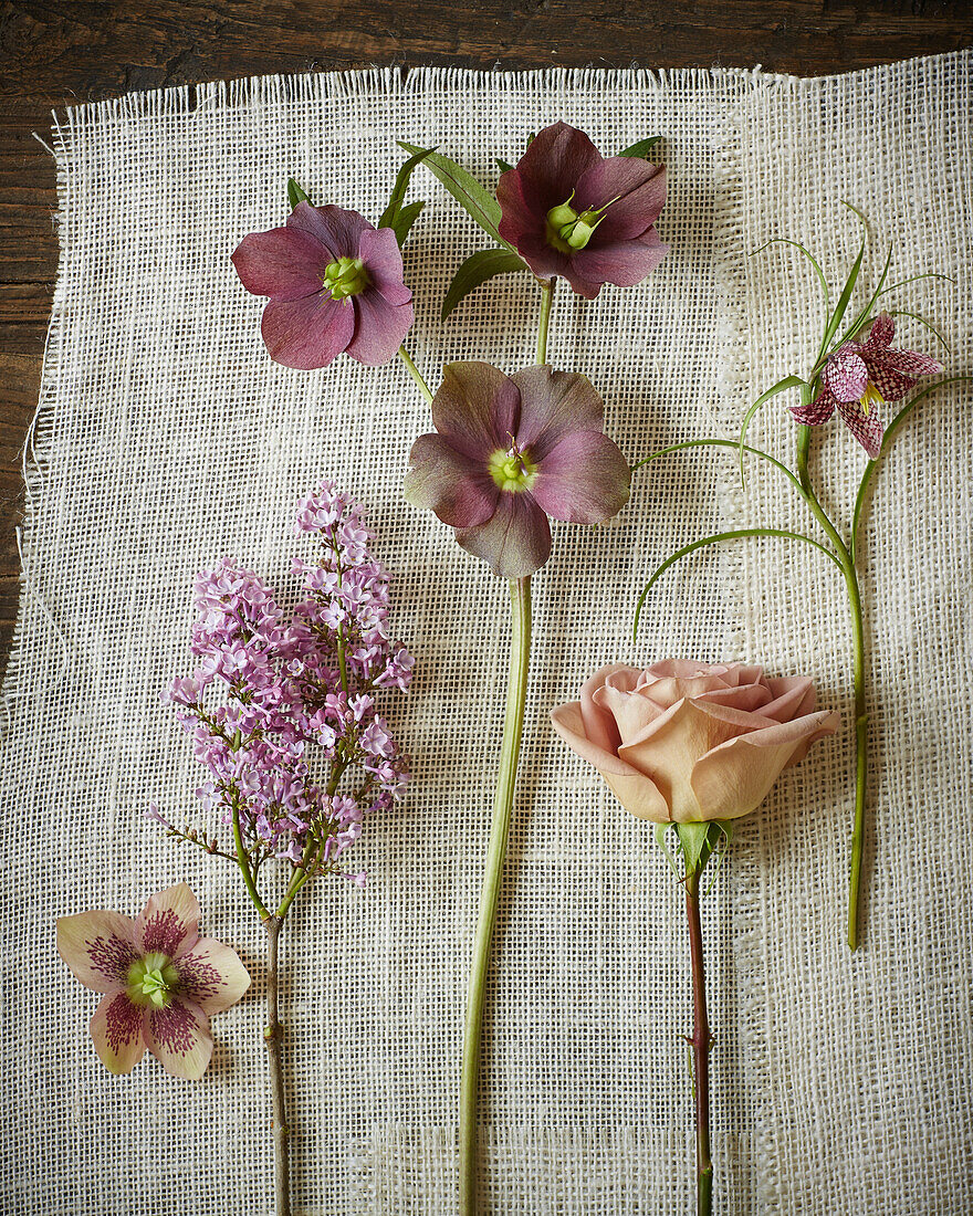 Stems of Purple Flowers on Gauze Fabric