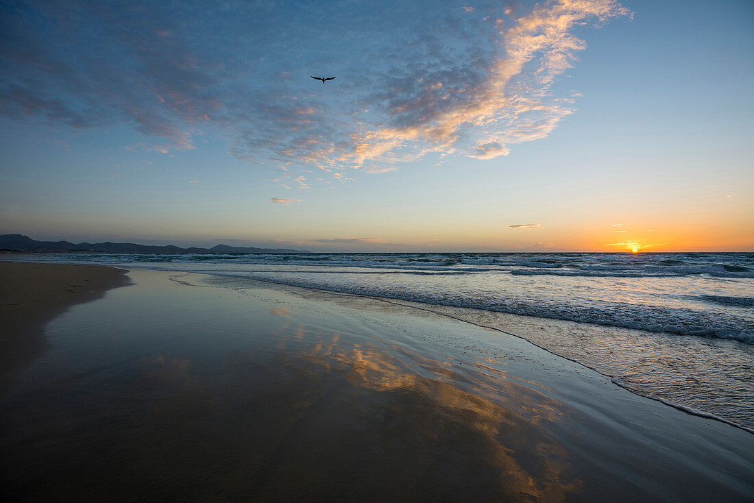 Spiegelung der Wolken, Playa de Sotavento, zwischen Jandia und Costa Calma, Fuerteventura, Kanarische Inseln, Spanien