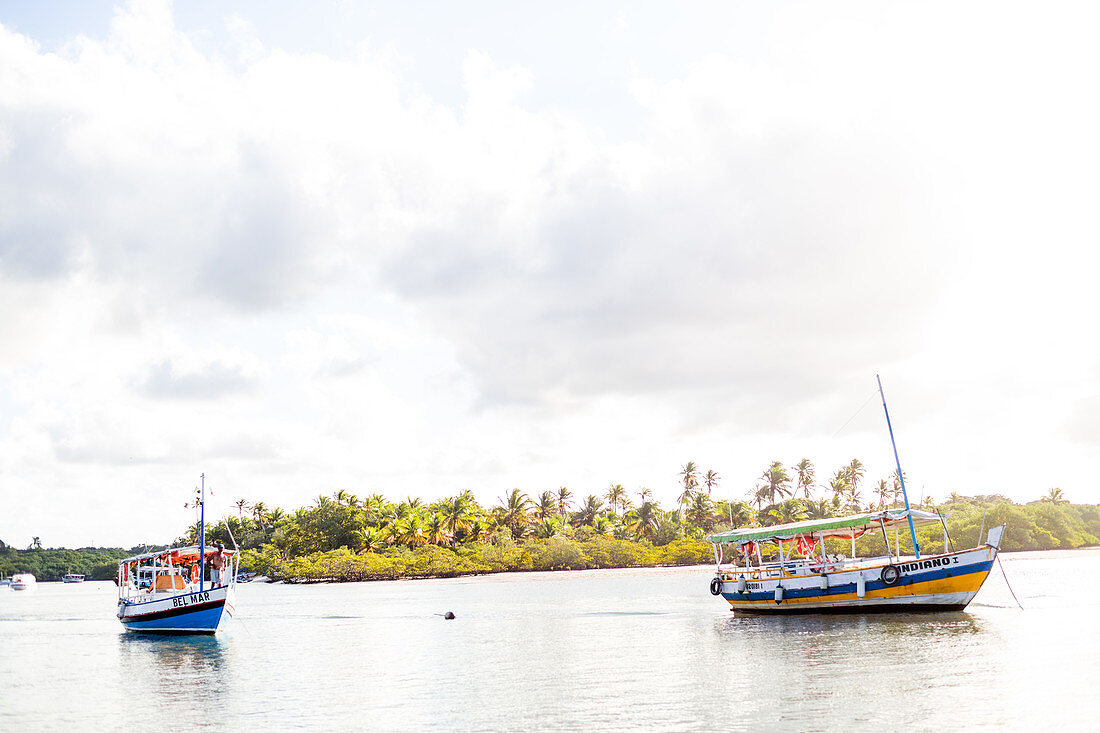 Fischerboote ankern in der Lagune, Palmeninsel, Atlantischer Ozean, Boipeba, Bahia, Brasilien