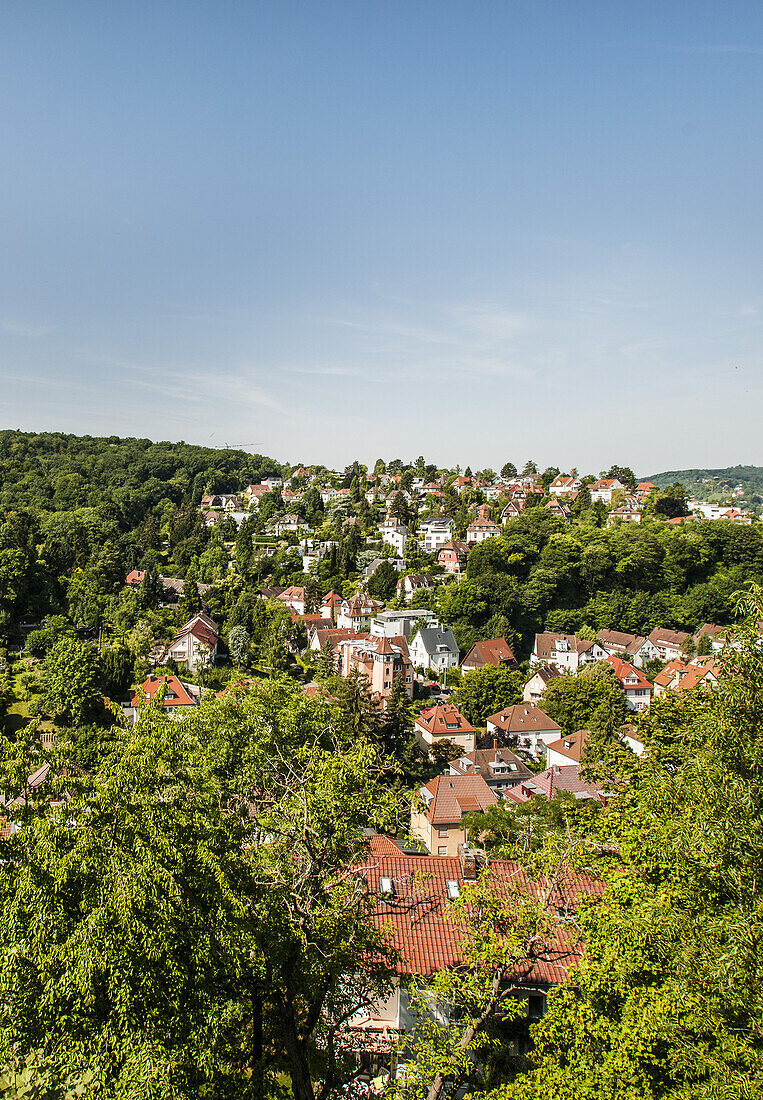 Blick auf Fernsehturm und Häuser am Bopser in Stuttgart, Baden-Württemberg, Süddeutschland, Deutschland